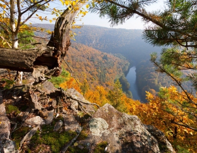 Stay 2 Get 3rd Night Free